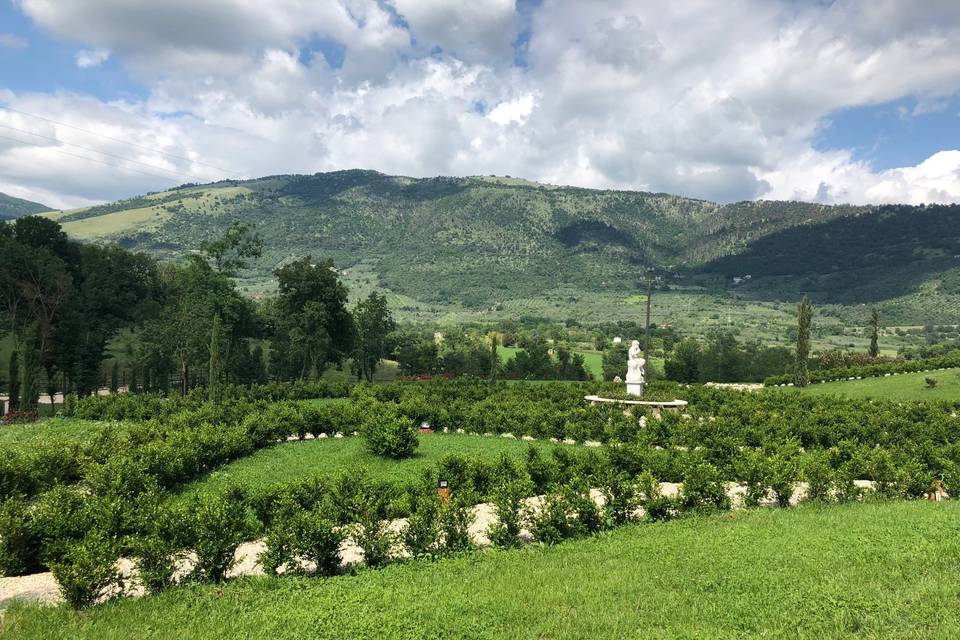 Tenuta Il Sogno