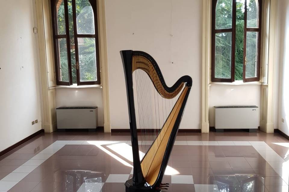 HarpMusic