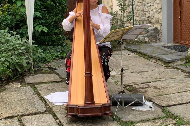 HarpMusic