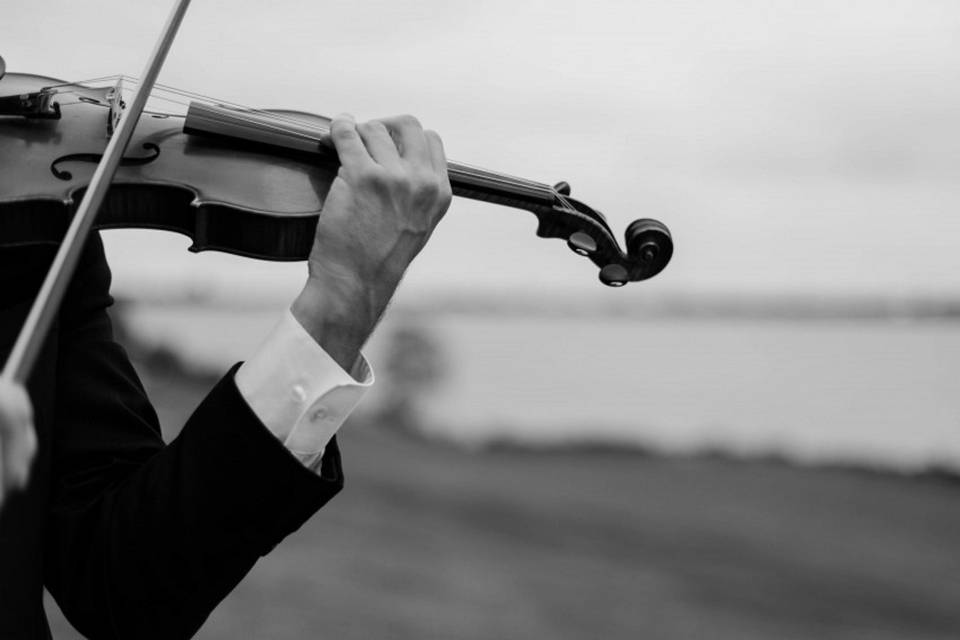 Violinista Sam Team