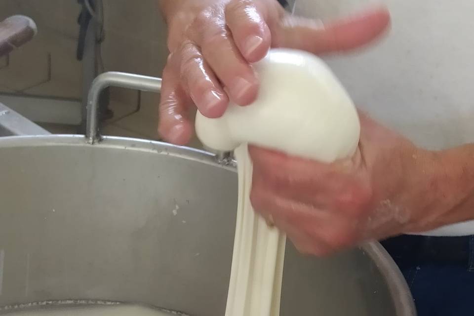 Creazione bocconcini