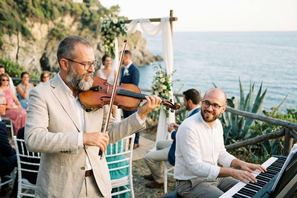 Violinista Sam Team