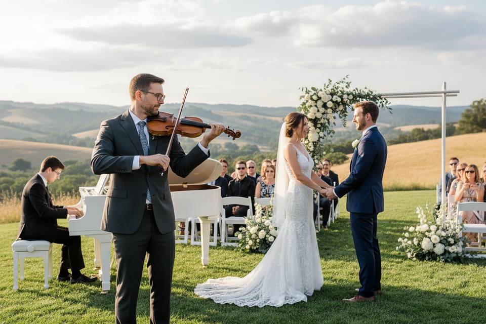 Violinista Sam Team