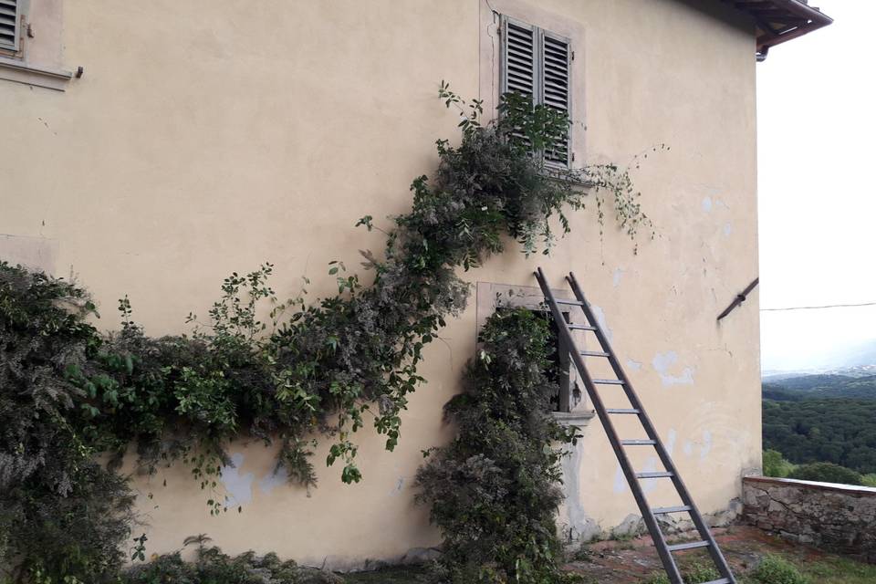 Dal Giardino di Stefania