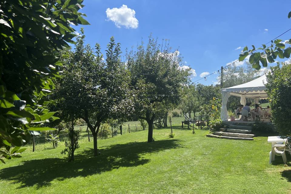 Giardini