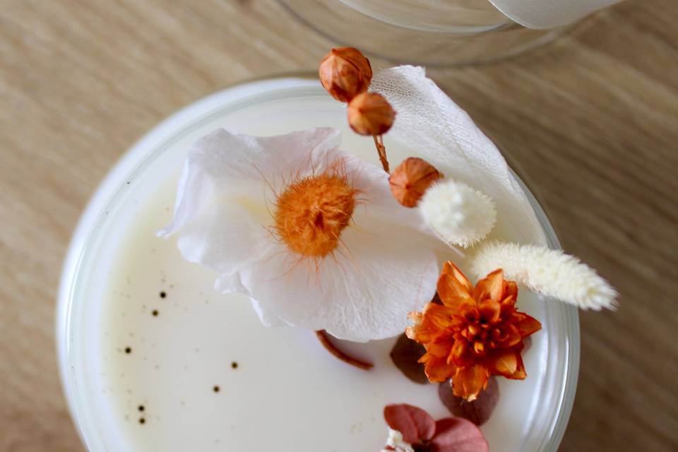 Candela Botanica