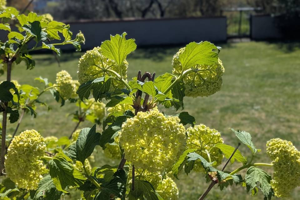 Paesaggio