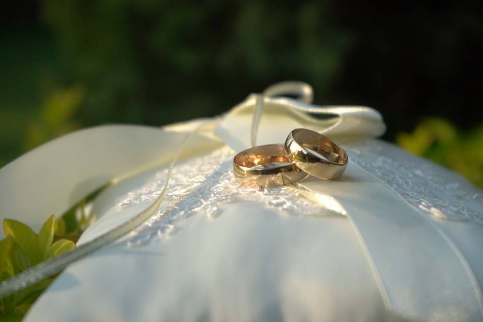 Anillos
