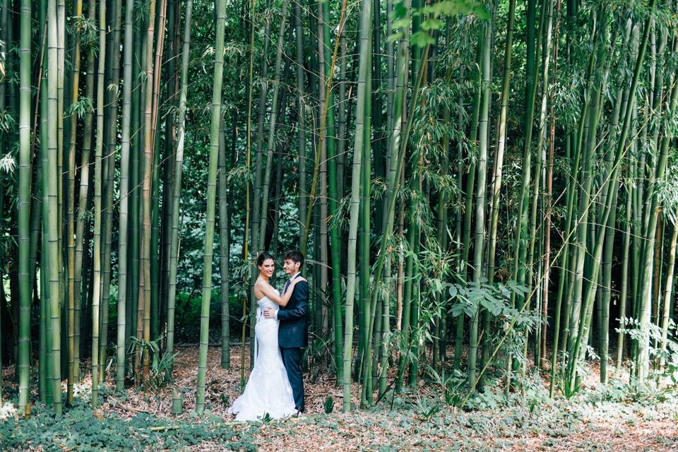 Il canneto di bamboo