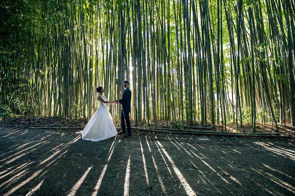 Il giardino di bamboo