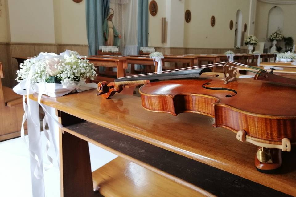 Violino