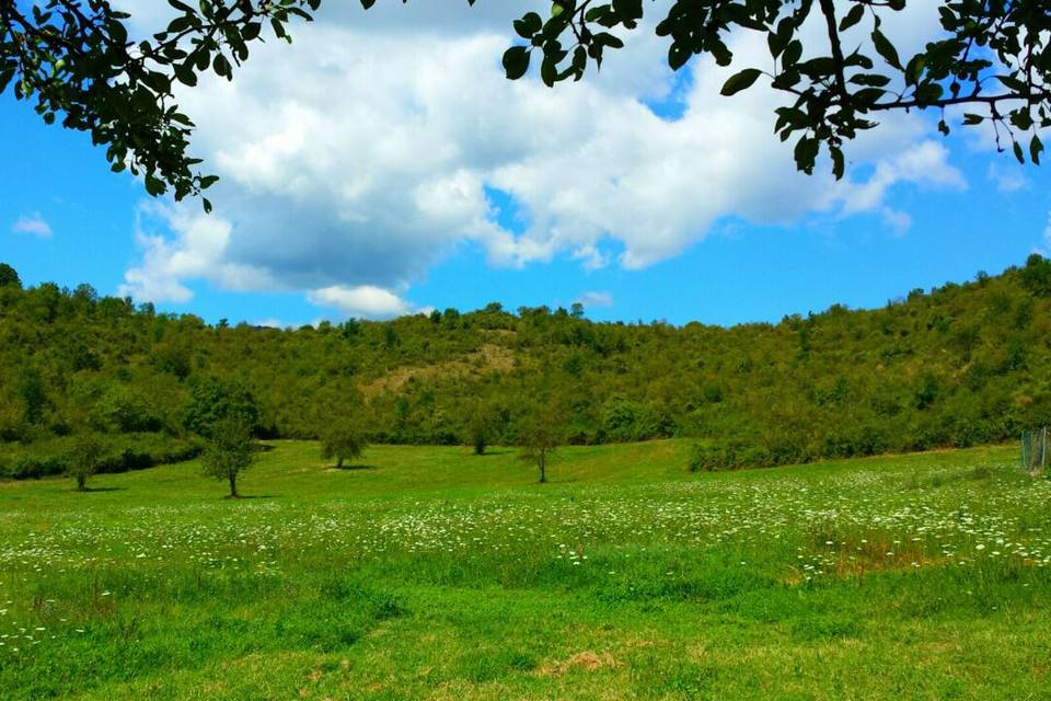 Agriturismo Pian di Papa