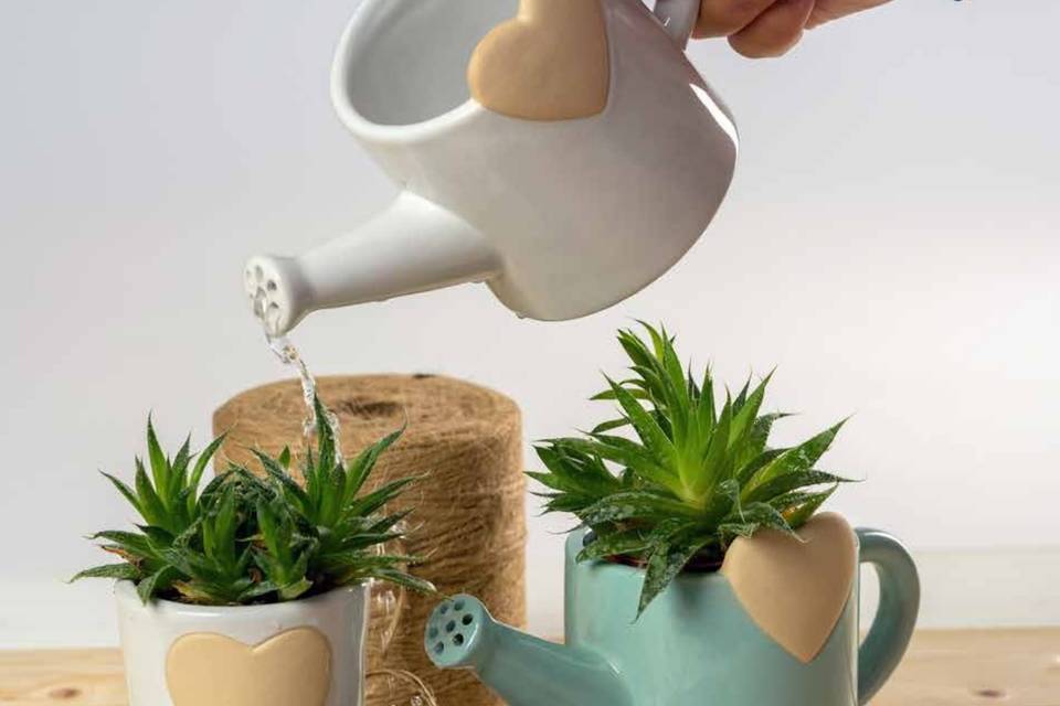 Bomboniera articolo da regalo