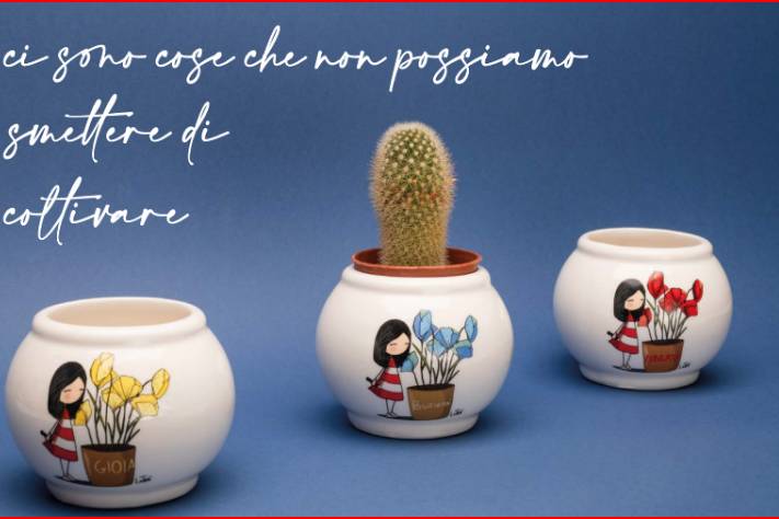Bomboniera articolo da regalo