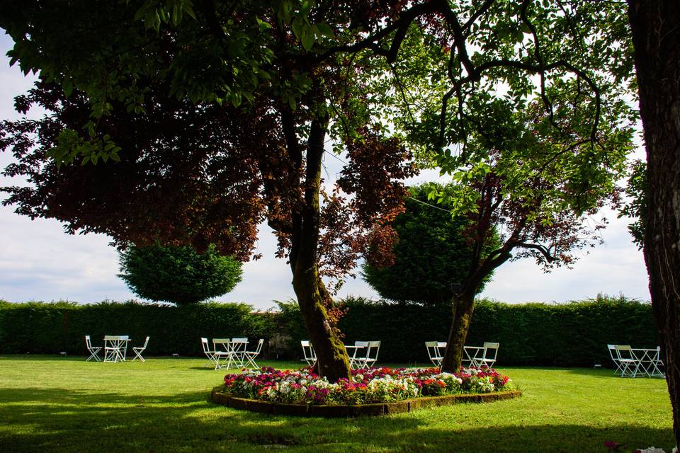 Un dettaglio del giardino