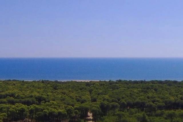 Masseria Macchia