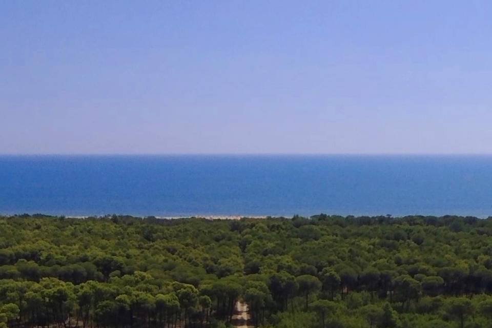 Masseria Macchia