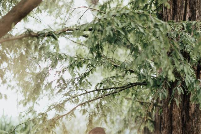 Chiara e Matteo prewedding