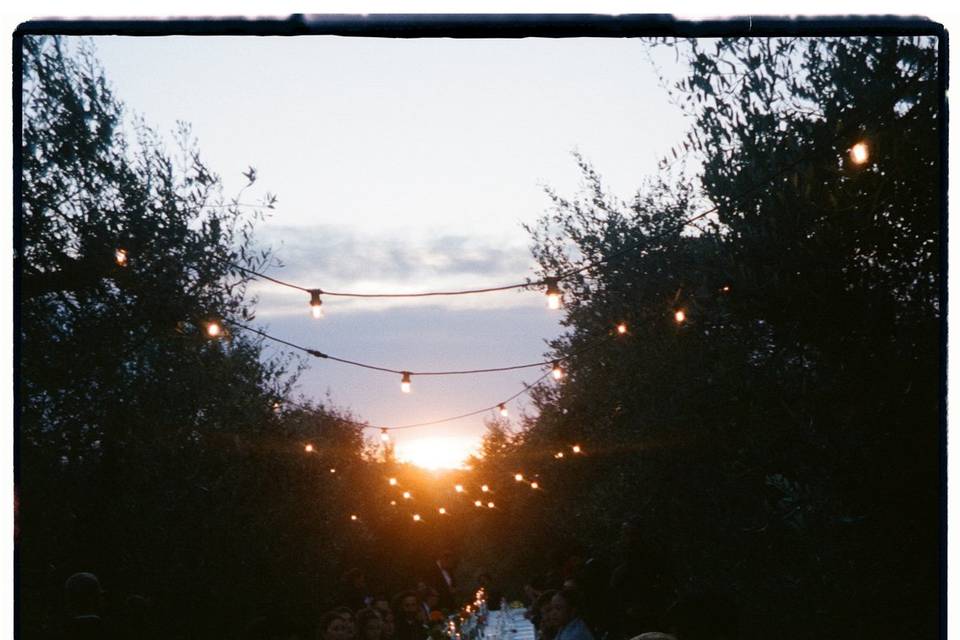 Beatrice Imperato Wedding