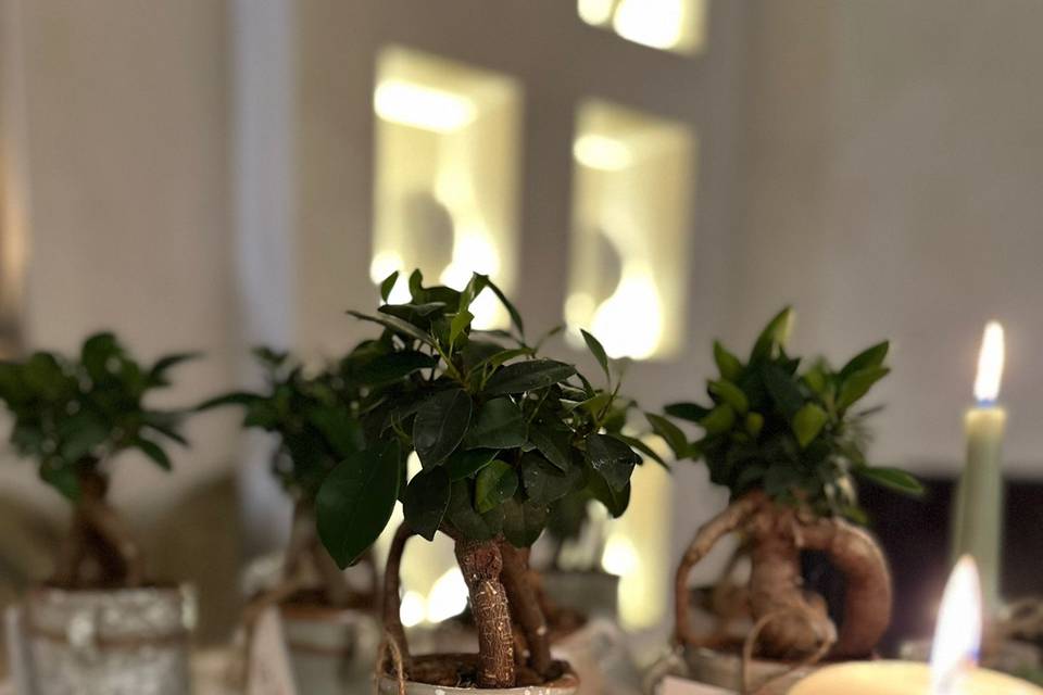 Idea bomboniere matrimonio