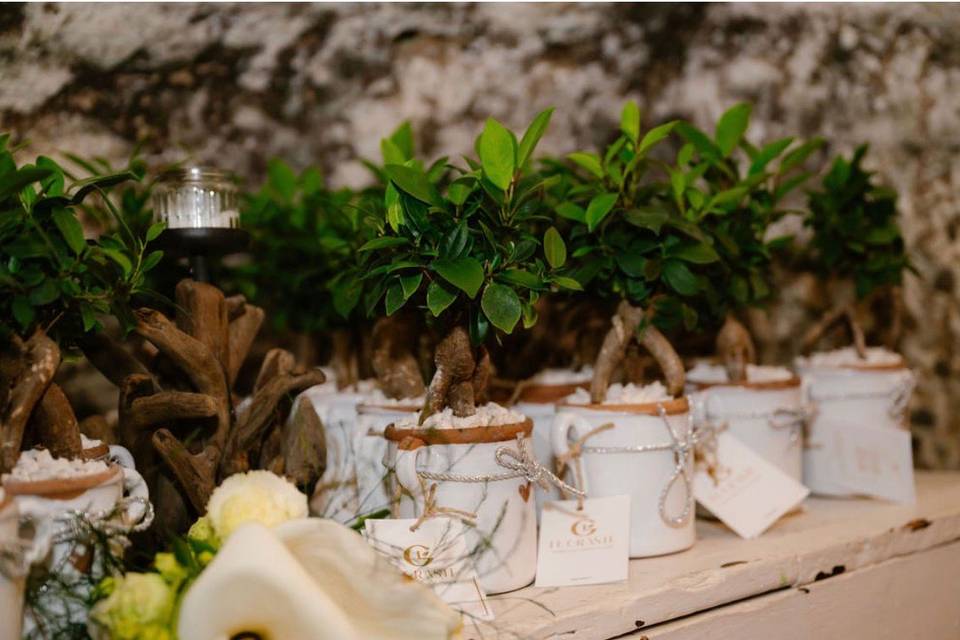 Idea bomboniere matrimonio