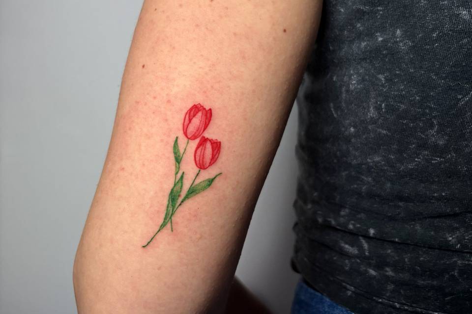 Tulip