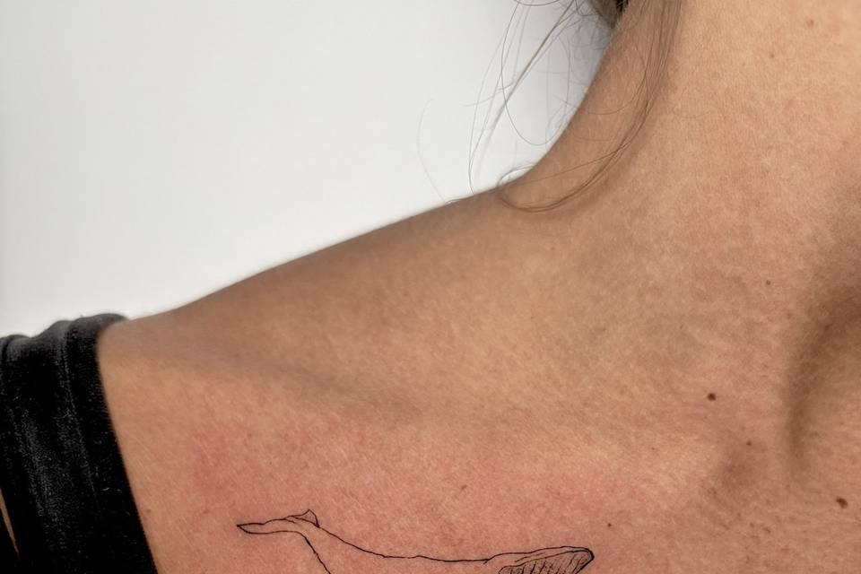 🐳