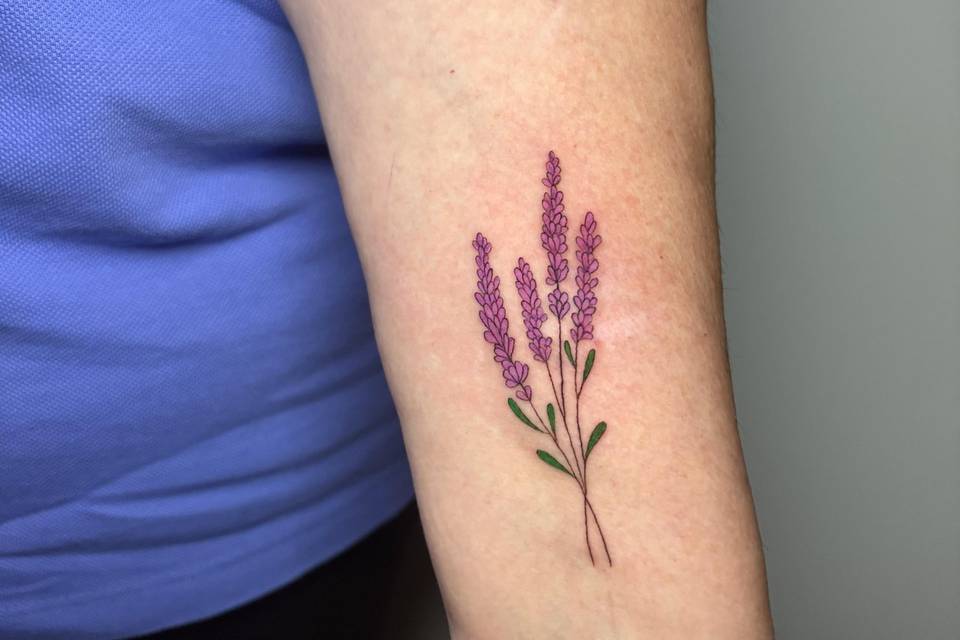 Lavanda