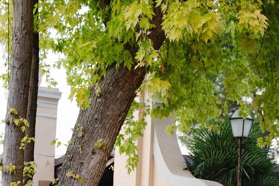 Matrimonio cubano