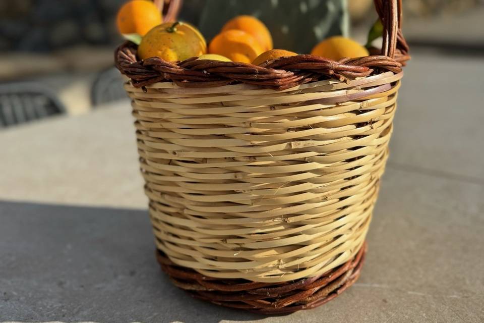 Agriturismo Bago'