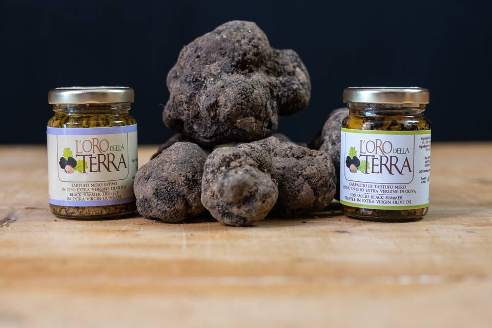 L'Oro Della Terra di Sasà