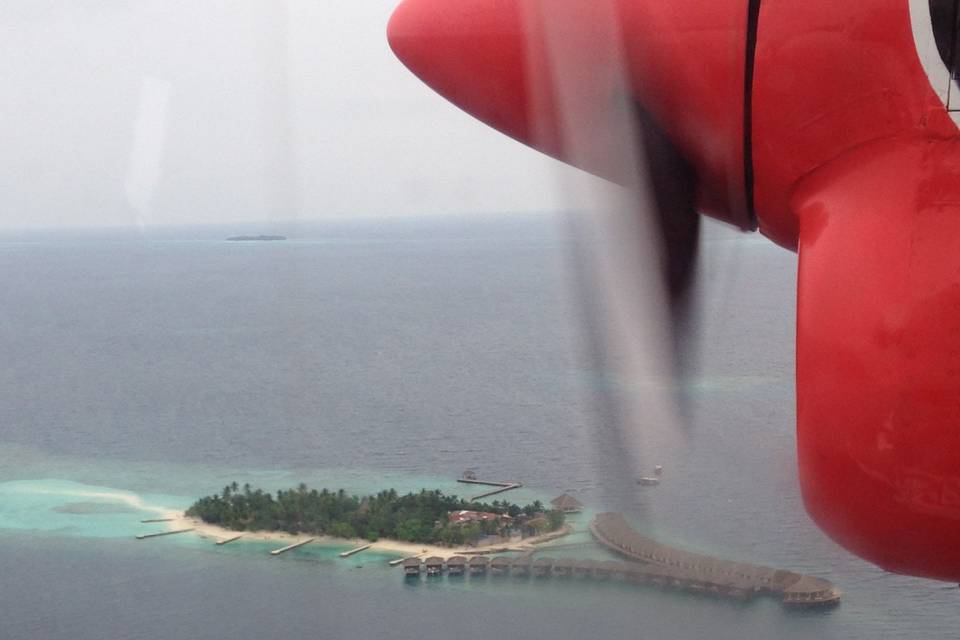 Maldive