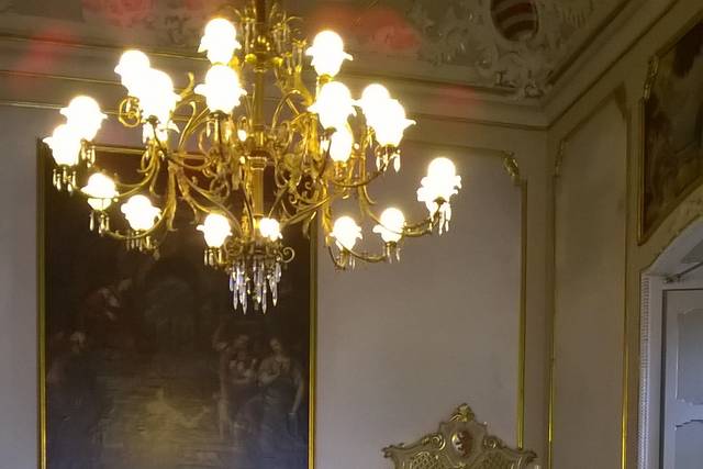 Comune di Cremona con viola