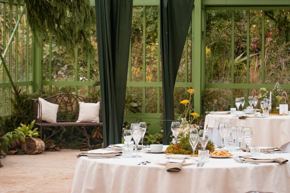 Matrimonio nel bosco