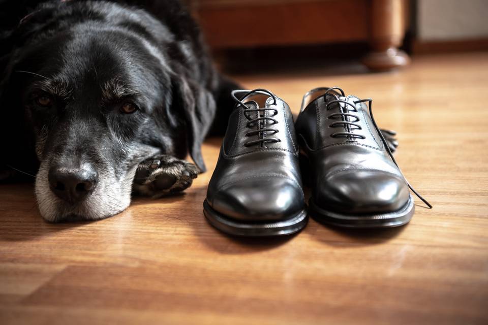 Dettaglio scarpe matrimonio