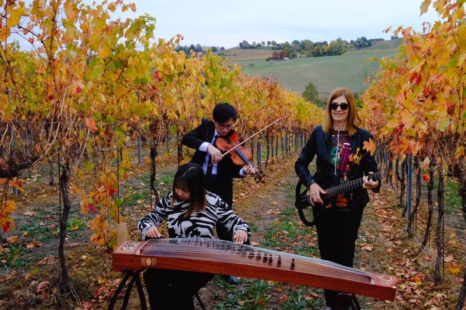 Ensemble du Sud