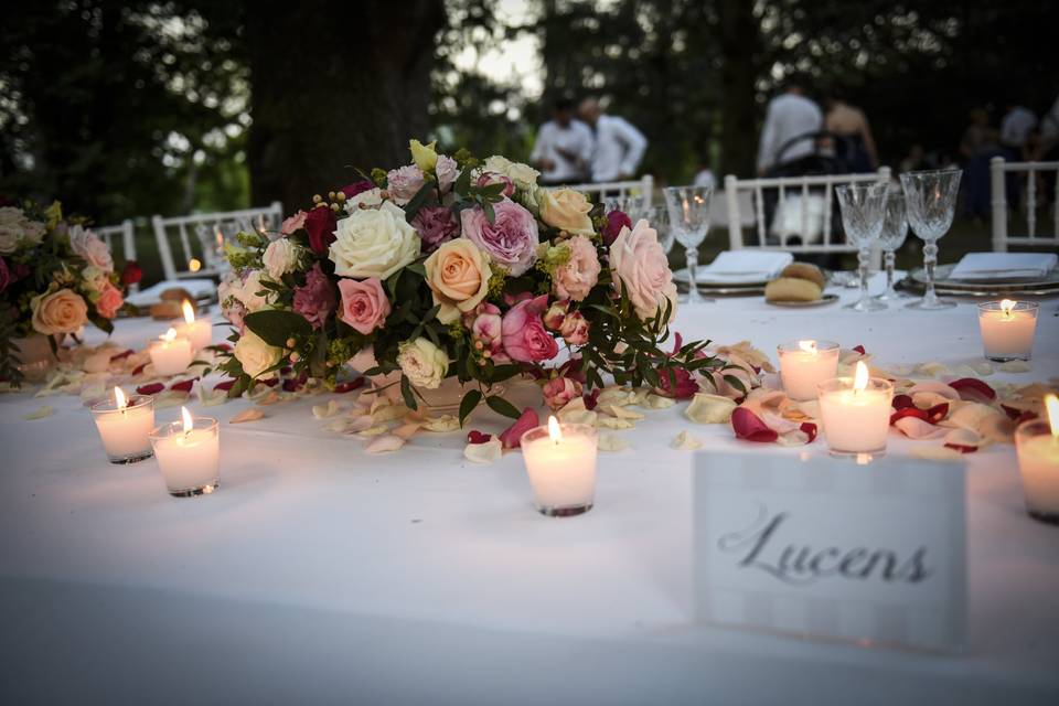 Video matrimonio Bologna