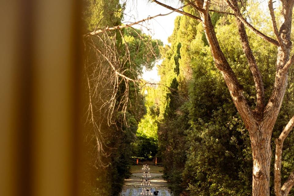 Viale