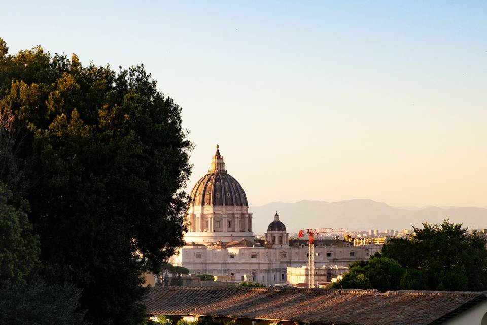 Prato Premium
