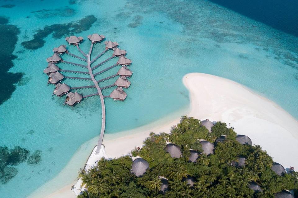 Maldive