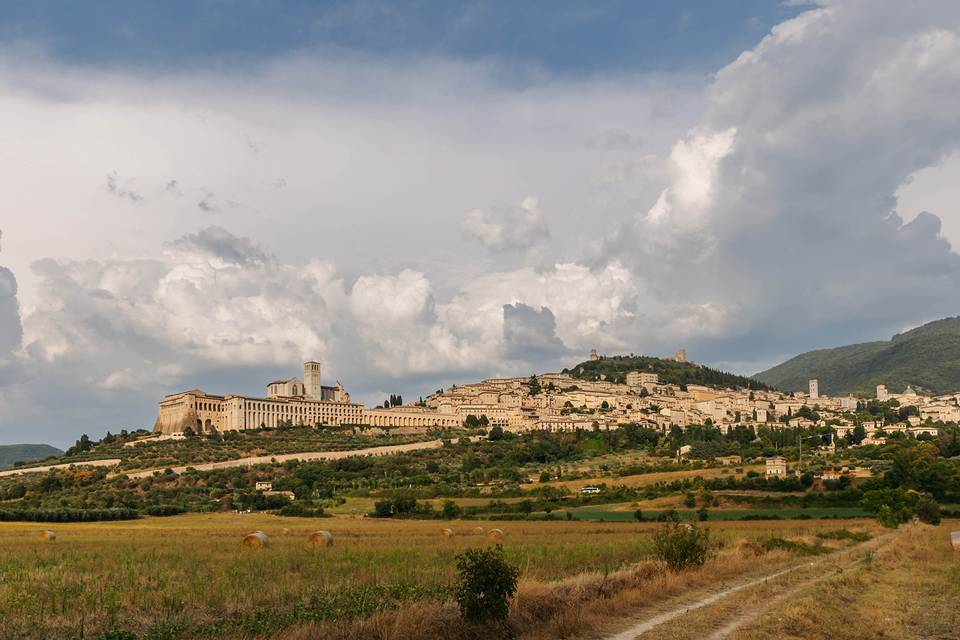 Assisi