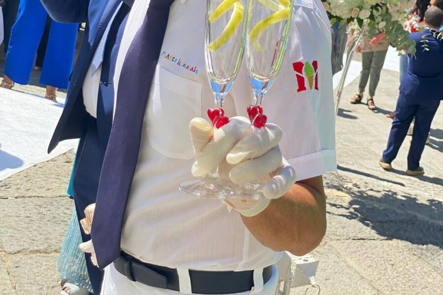 Brindisi elegante matrimonio