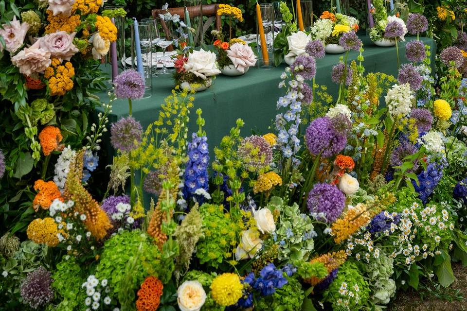 La magia dei colori
