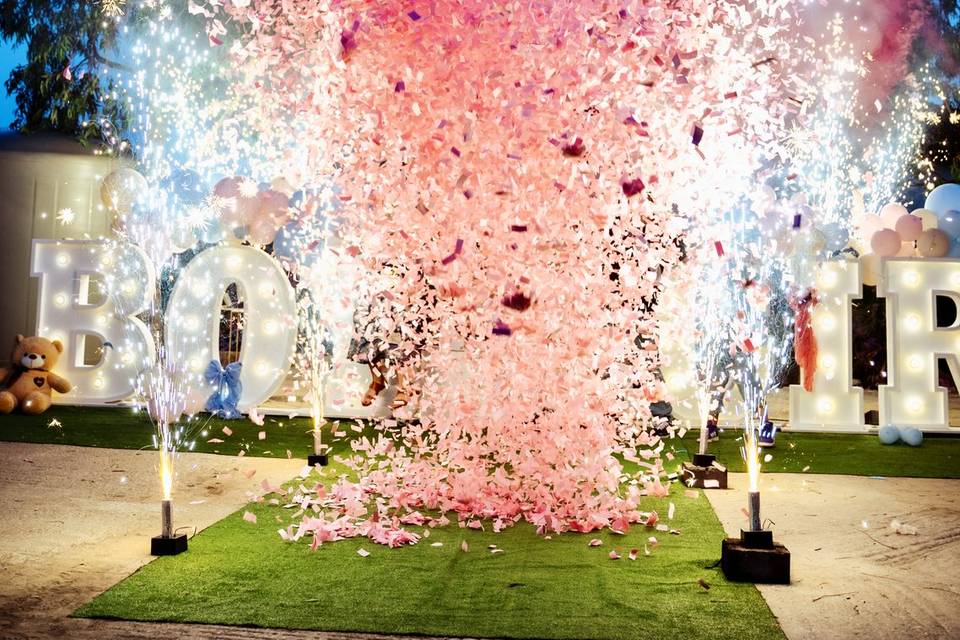 Gender reveal