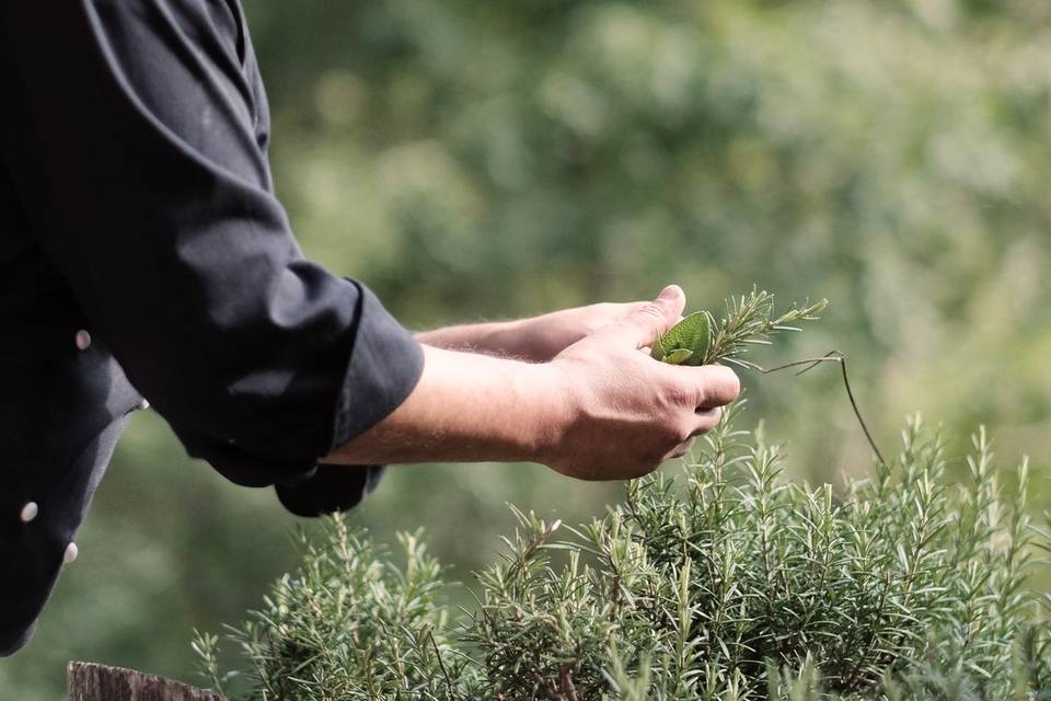 I nostri angoli verdi