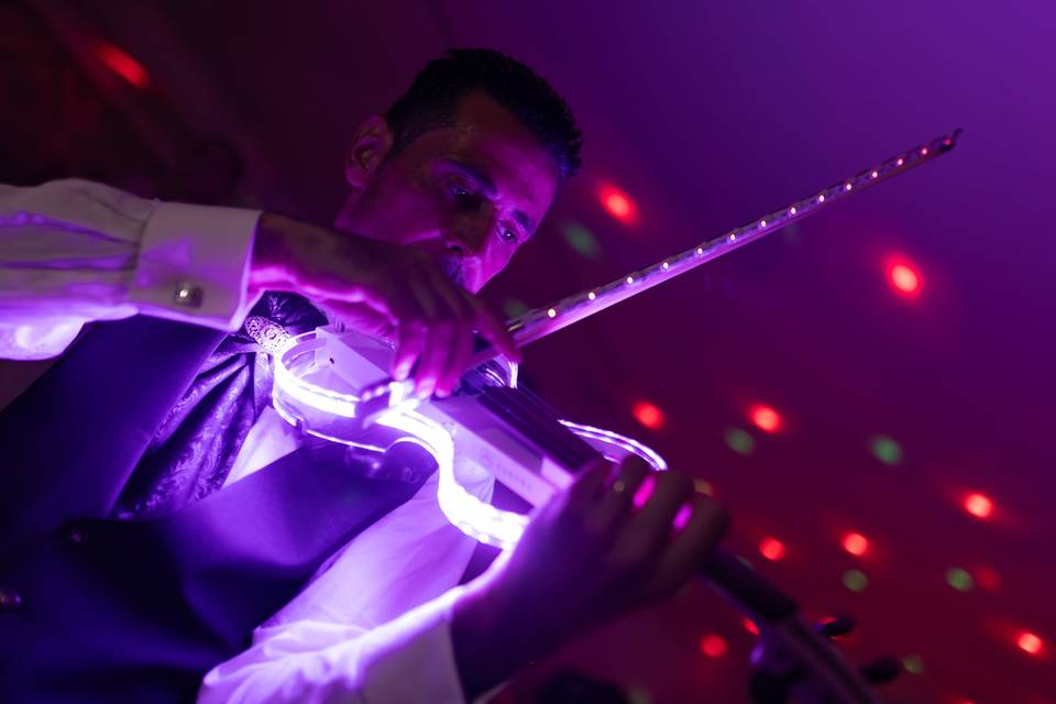 Violino Luminoso