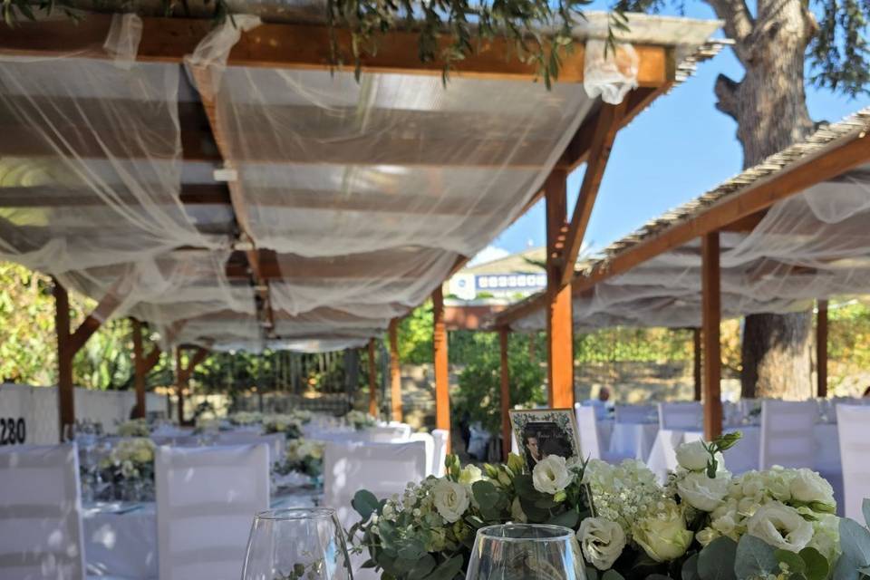 Matrimonio