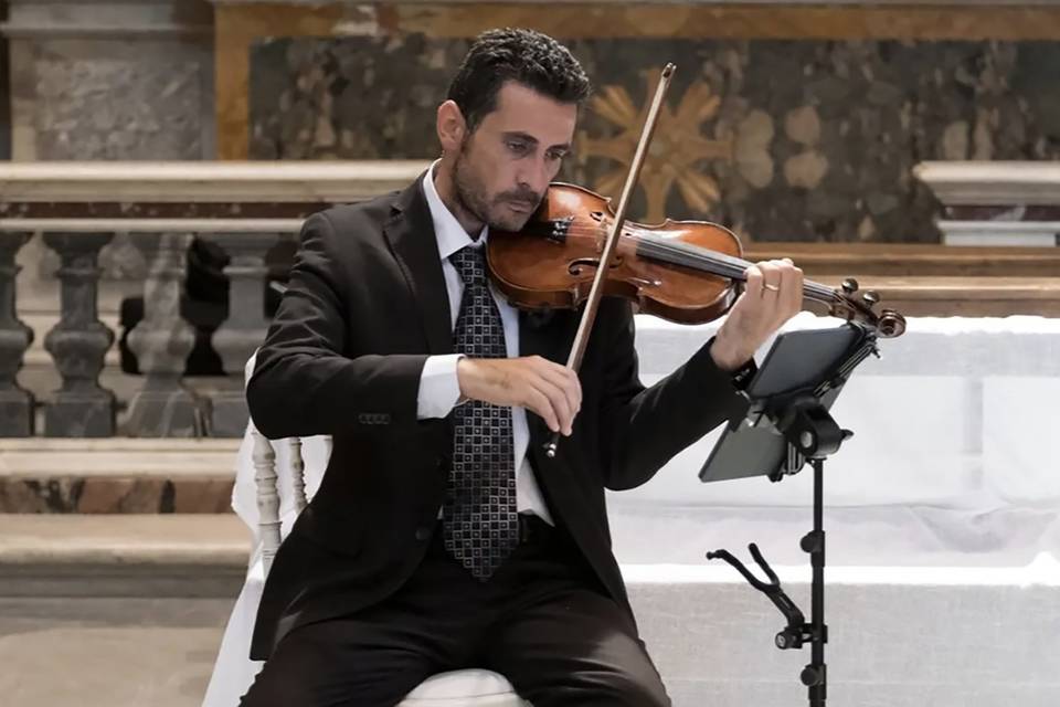 Violino