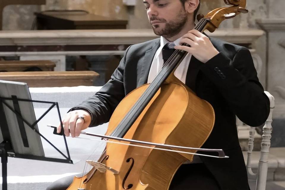 Violino