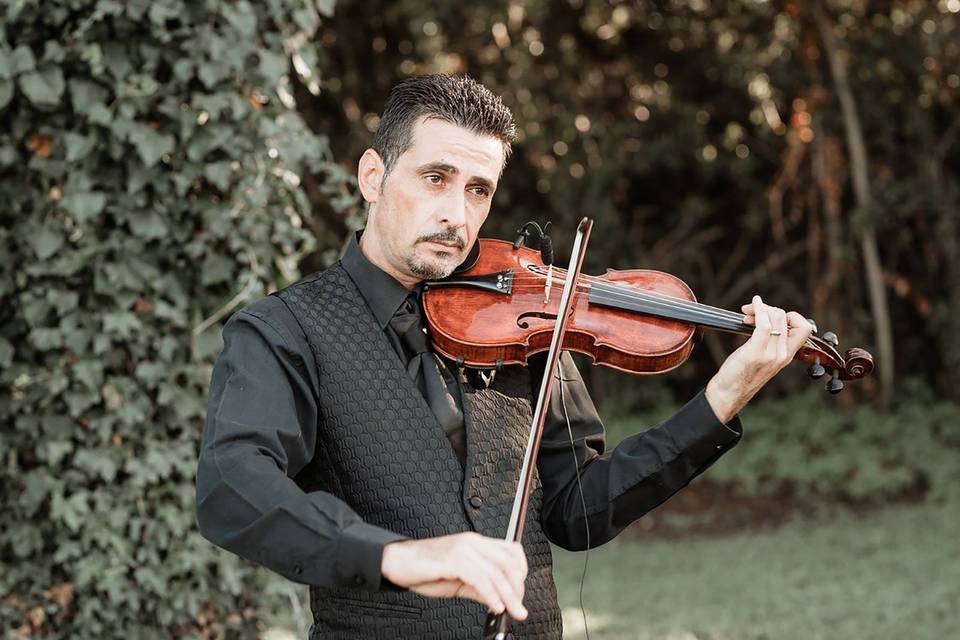 Violino Rito Civile